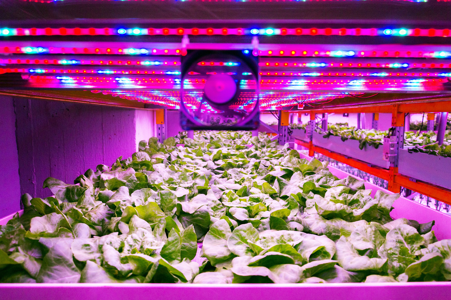 Horticultural Lighting EMC Horticultural Lighting EMC
