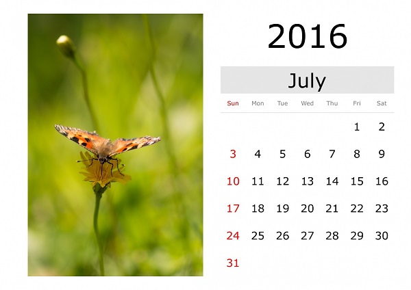 July Calendar with Butterfly on flower