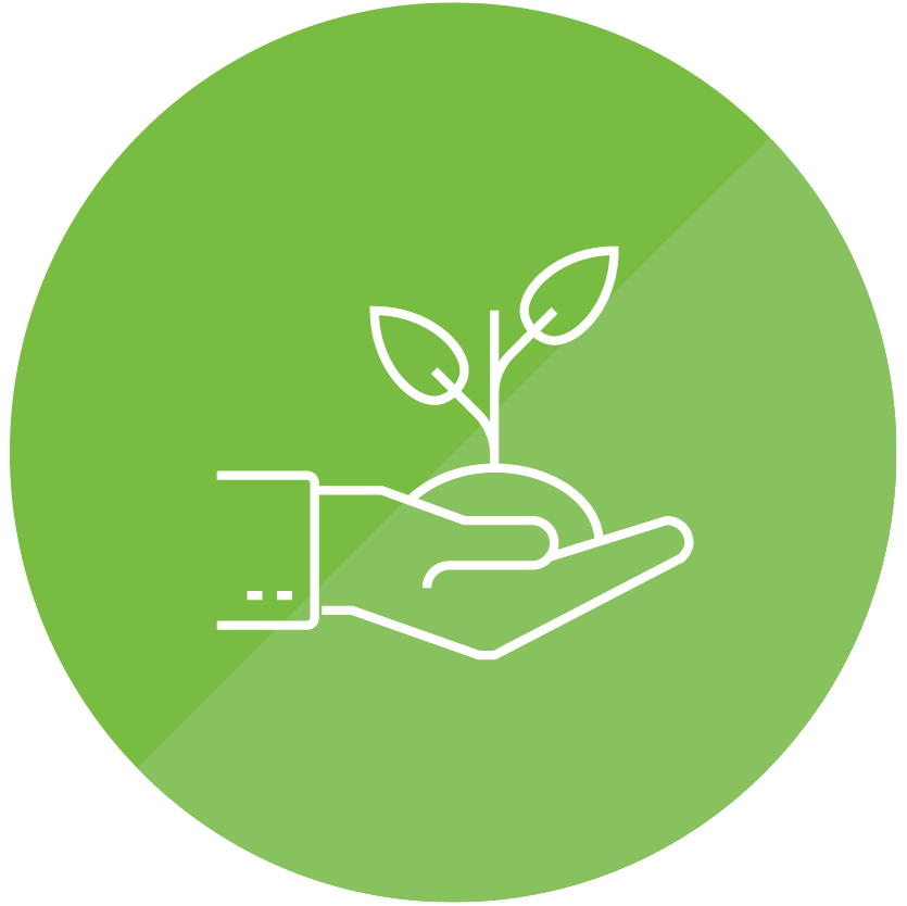 Tree Seedling Icon