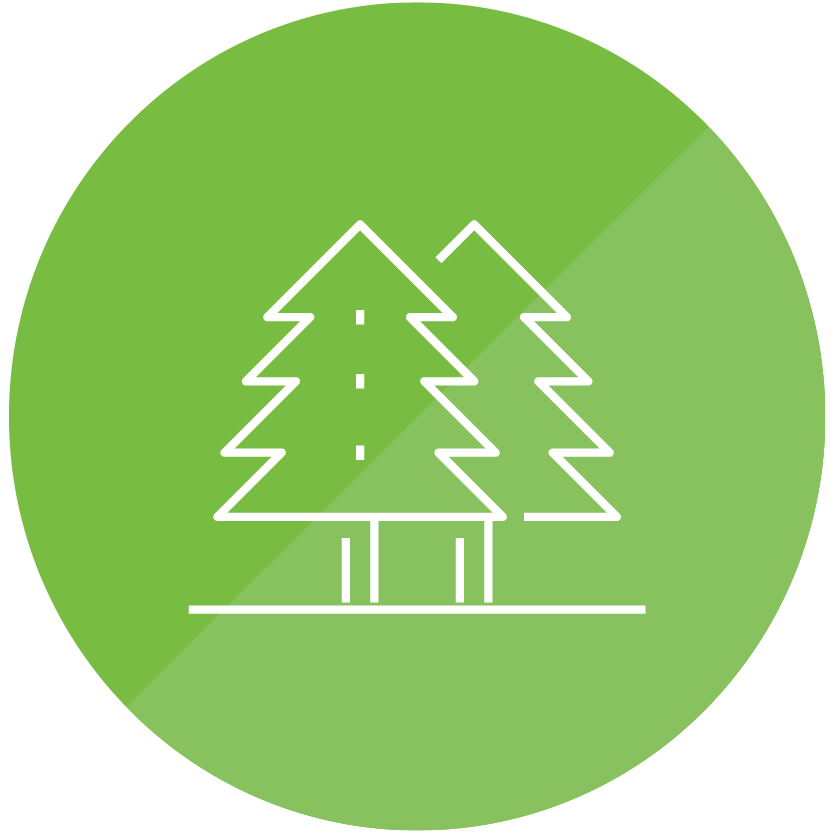 Tree Icon